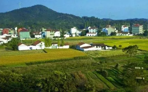 農(nóng)村集體所有土地征收補償安置條例