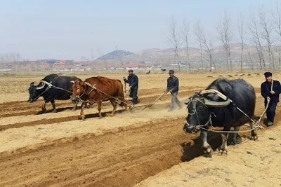 耕地占用補(bǔ)償標(biāo)準(zhǔn)
