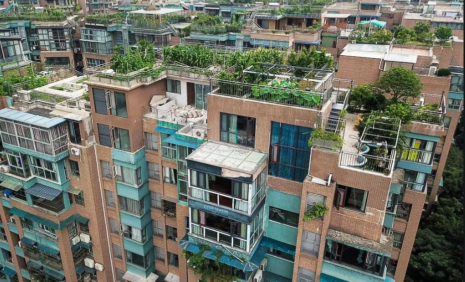 頂樓違章建筑可以強拆嗎