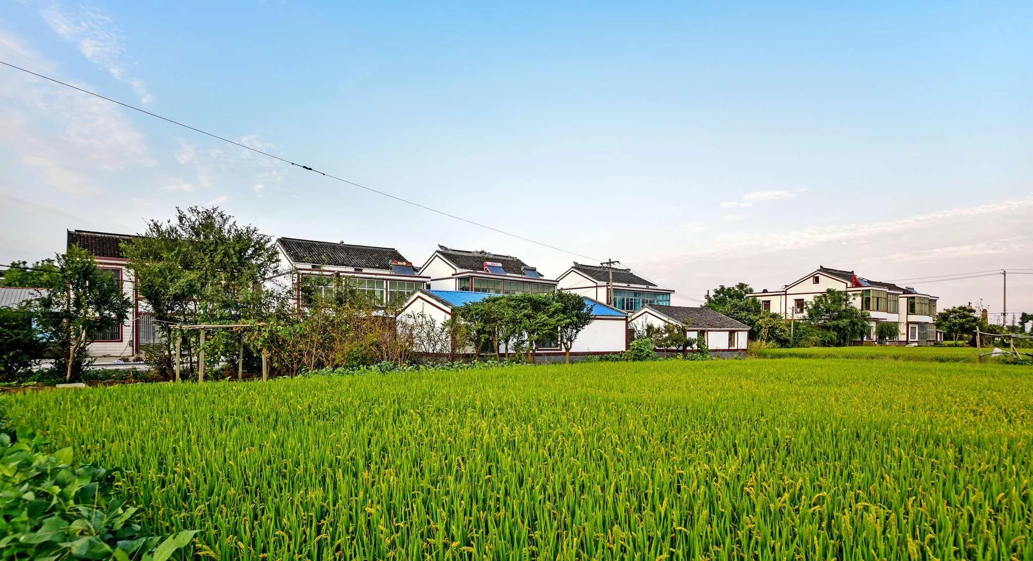土地征收補償歸村集體還是歸農(nóng)民
