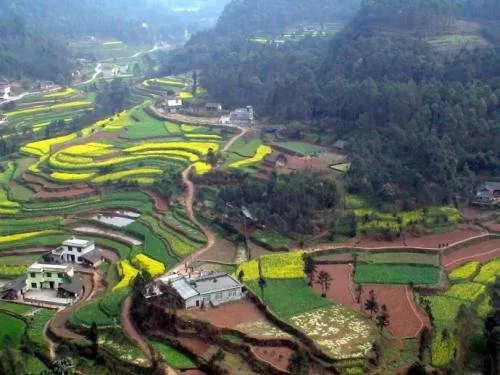 在水田建房會強拆嗎