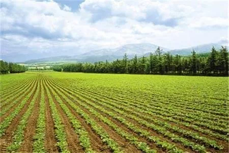 集體土地征收補償標準是多少