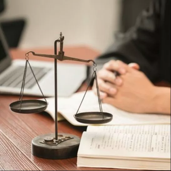 新建違法建筑會被怎樣處置