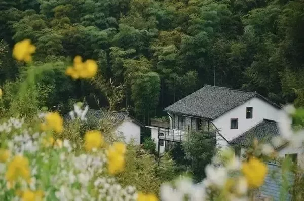 農(nóng)村自建倉(cāng)房算違章建筑嗎