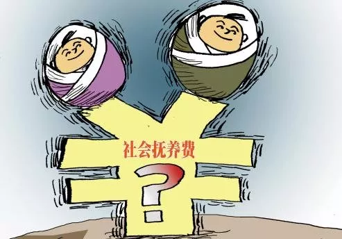 什么是社會(huì)撫養(yǎng)費(fèi)