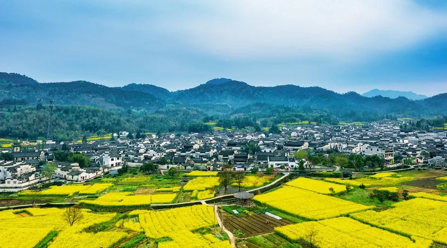 苗圃征地賠償費(fèi)拿不到怎么辦
