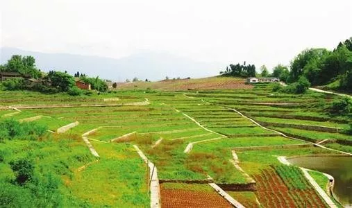 租賃的土地拆遷如何補(bǔ)償