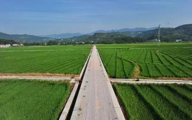 征收地多少錢一畝