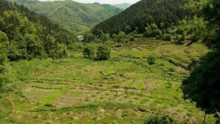 農(nóng)村拆遷100畝大山補償多少錢