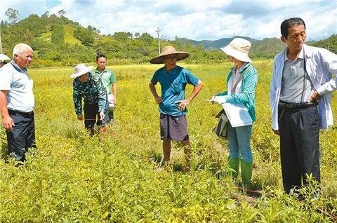 林業(yè)局有權(quán)強拆違建嗎
