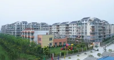 違建拆除給有補償嗎
