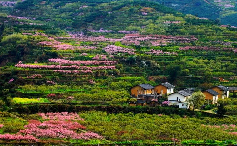 宅基地拆遷怎么算單價