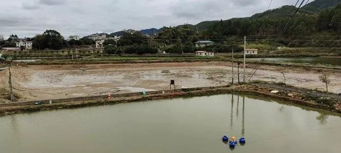 魚塘拆了如何賠償標(biāo)準(zhǔn)