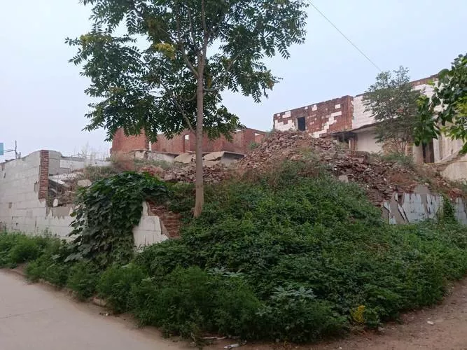 在農(nóng)村養(yǎng)殖場算違建嗎