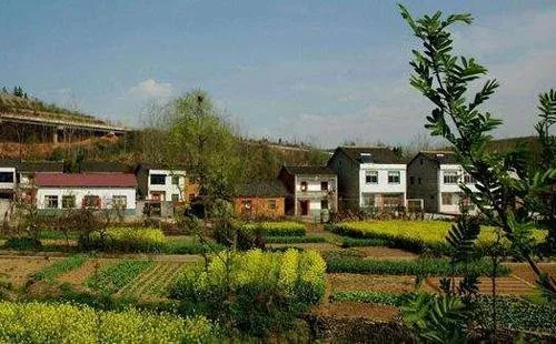 什么是土地征收安置費(fèi)