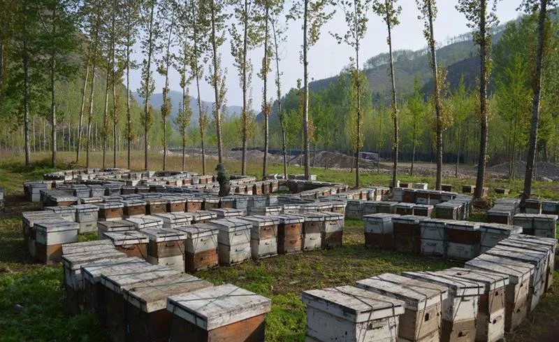 在農(nóng)村農(nóng)場的拆遷標準是怎么樣的