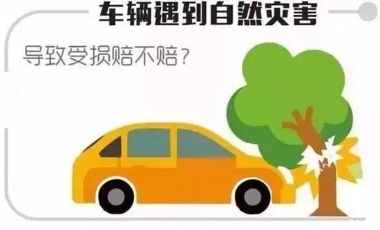 什么是車損險(xiǎn)