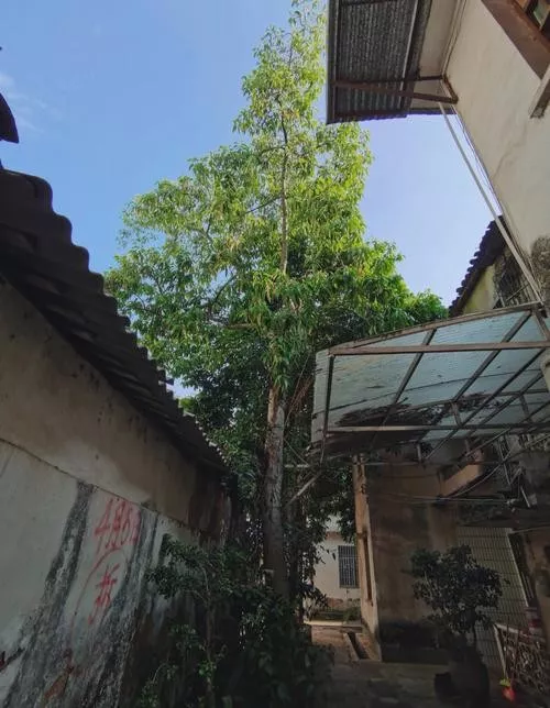 農(nóng)村建房違建怎么認(rèn)