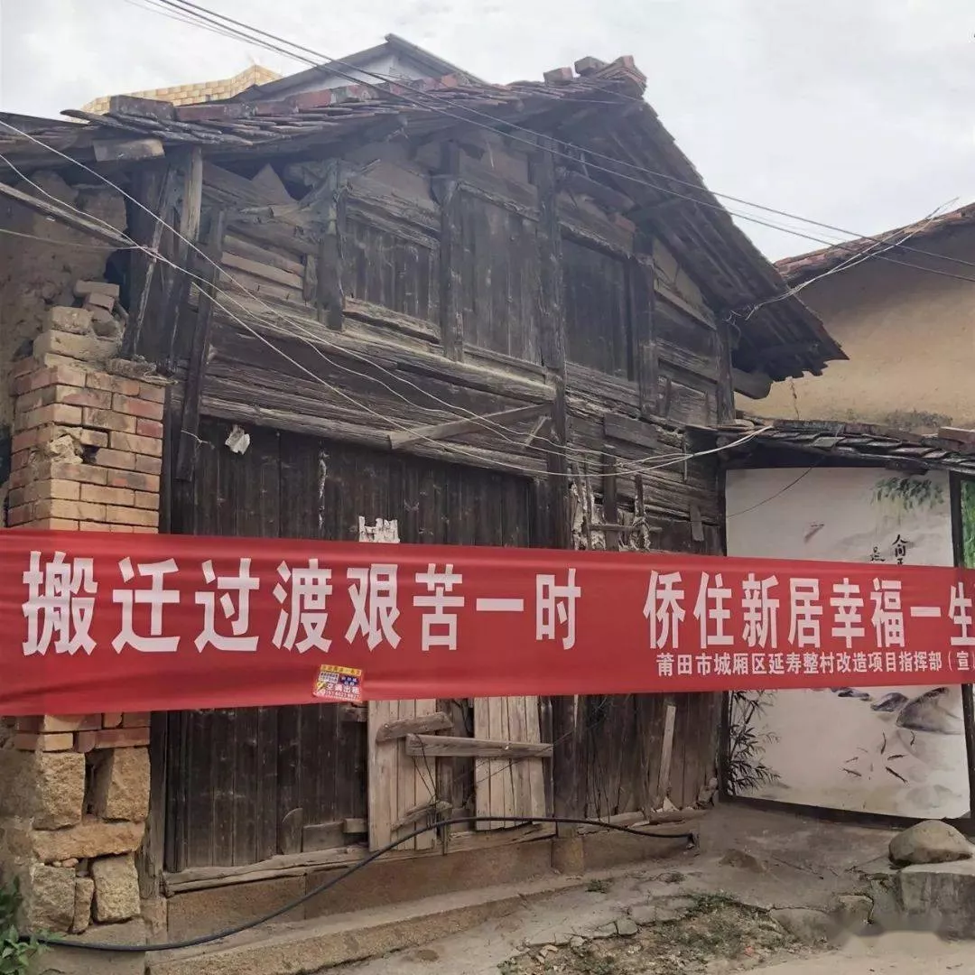 違建花園會罰款嗎
